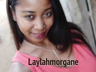 Laylahmorgane