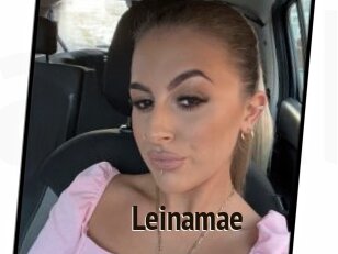 Leinamae