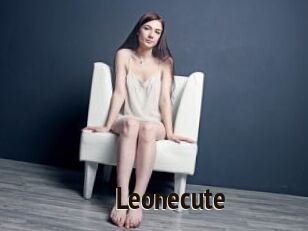 Leonecute