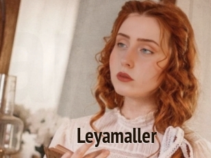 Leyamaller