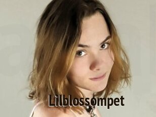 Lilblossompet