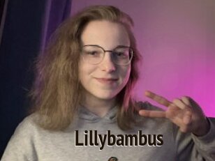 Lillybambus