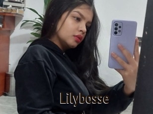 Lilybosse