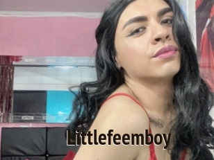 Littlefeemboy