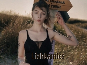 Lizhkamics