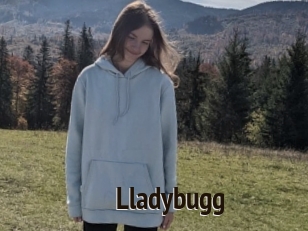 Lladybugg