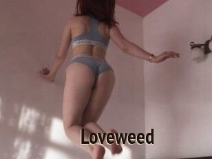 Loveweed