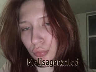 Melisagonzaled