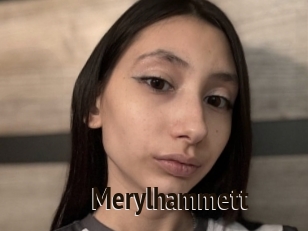 Merylhammett