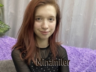 Minamiler