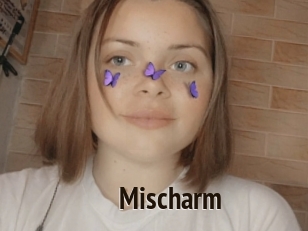 Mischarm