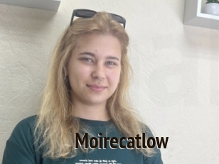 Moirecatlow