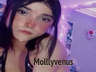 Molllyvenus