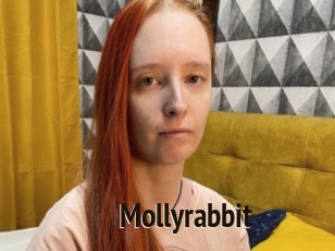 Mollyrabbit