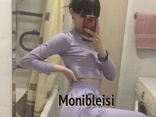 Monibleisi