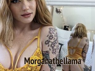 Morganathellama