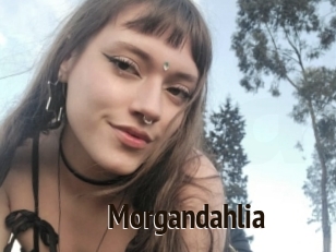 Morgandahlia