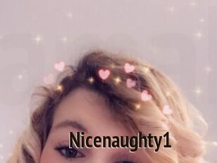 Nicenaughty1