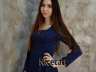 Nicecatt