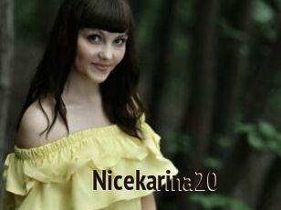 Nicekarina20
