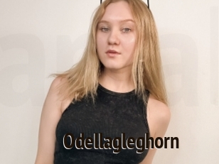 Odellagleghorn