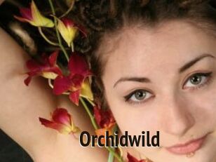 Orchidwild