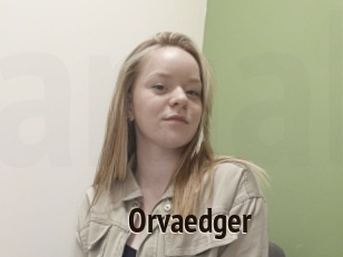 Orvaedger