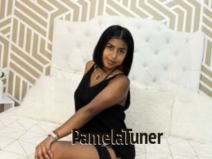 PamelaTuner