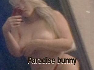 Paradise_bunny