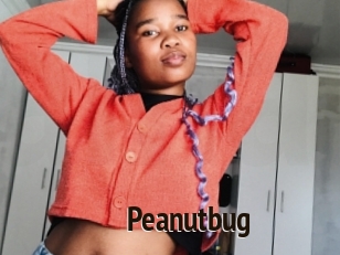 Peanutbug