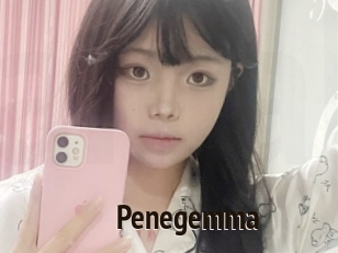 Penegemma