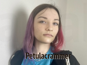 Petulacrammer