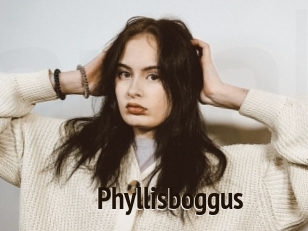 Phyllisboggus