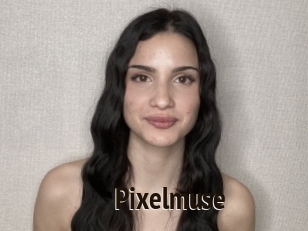 Pixelmuse