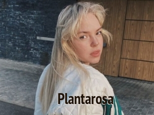 Plantarosa