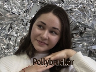 Pollybrucker