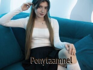 Ponytaamnel