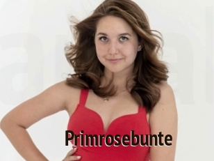 Primrosebunte