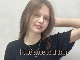 Prudencecodringt