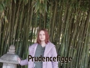 Prudencefigge