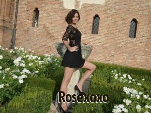 Rosexoxo Amatrice Blog