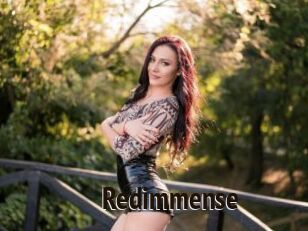 Redimmense