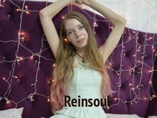 reinsoul Amatrice Blog