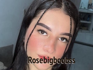 Rosebigboobss