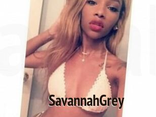 Savannah_Grey