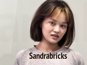 Sandrabricks