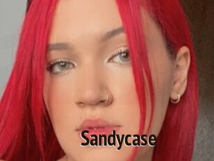 Sandycase