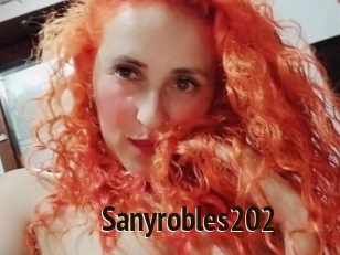 Sanyrobles202