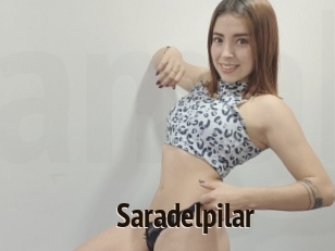 Saradelpilar