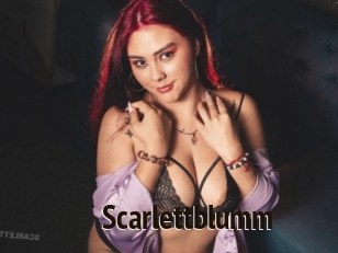 Scarlettblumm